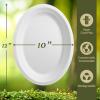 imageReli Compostable Oval Paper Plates 12 Inch 125 Count  White Large Paper Plates  Heavy Duty Disposable  Disposable Platters 12x10  Made of Sugarcane Fibers Bagasse Biodegradable