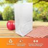 imageReli White Lunch Bags 125 Pack  6 lb White Paper Lunch Bags Luncheon Sacks for Snacks and Gifts  Medium Size Kraft Paper  Multipurpose for Lunch Snacks Gifts Arts ampamp Crafts DIY