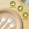 imageReli Compostable Forks 550 Pack  Disposable Utensils Heavy Duty Forks  Compostable Utensils Cutlery for Party Events Party Supplies  BPA Free Cornstarch Composting Flatware White