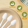 imageReli Compostable Spoons 200 Pack  Soup Spoons Disposable Utensils Heavy Duty  Compostable Utensils Cutlery for Party Hot Food Party Supplies  BPA Free Cornstarch White