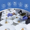 image:imageReli Nitrile Gloves Medium  Disposable Gloves 500 Pack Bulk  Powder Free Latex Free Food Safe  SingleUse  Premium Nitrile Rubber for Cleaning Automotive Salon  Violet BlueIris Blue